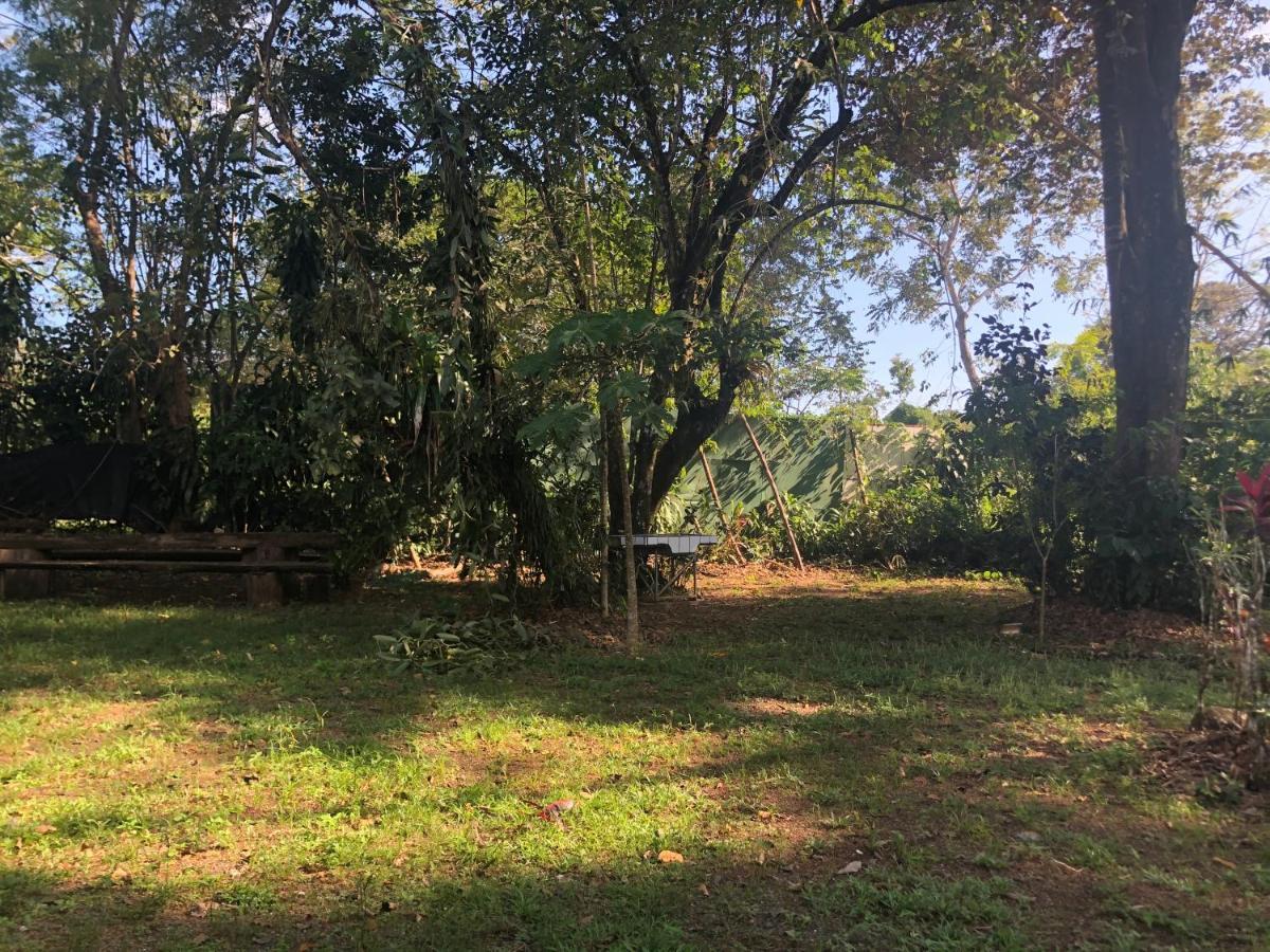 Chosa Manglar Suites & Cabins Puerto Jiménez Buitenkant foto