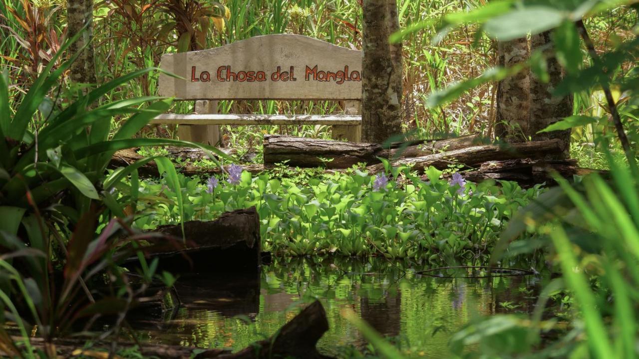 Chosa Manglar Suites & Cabins Puerto Jiménez Buitenkant foto